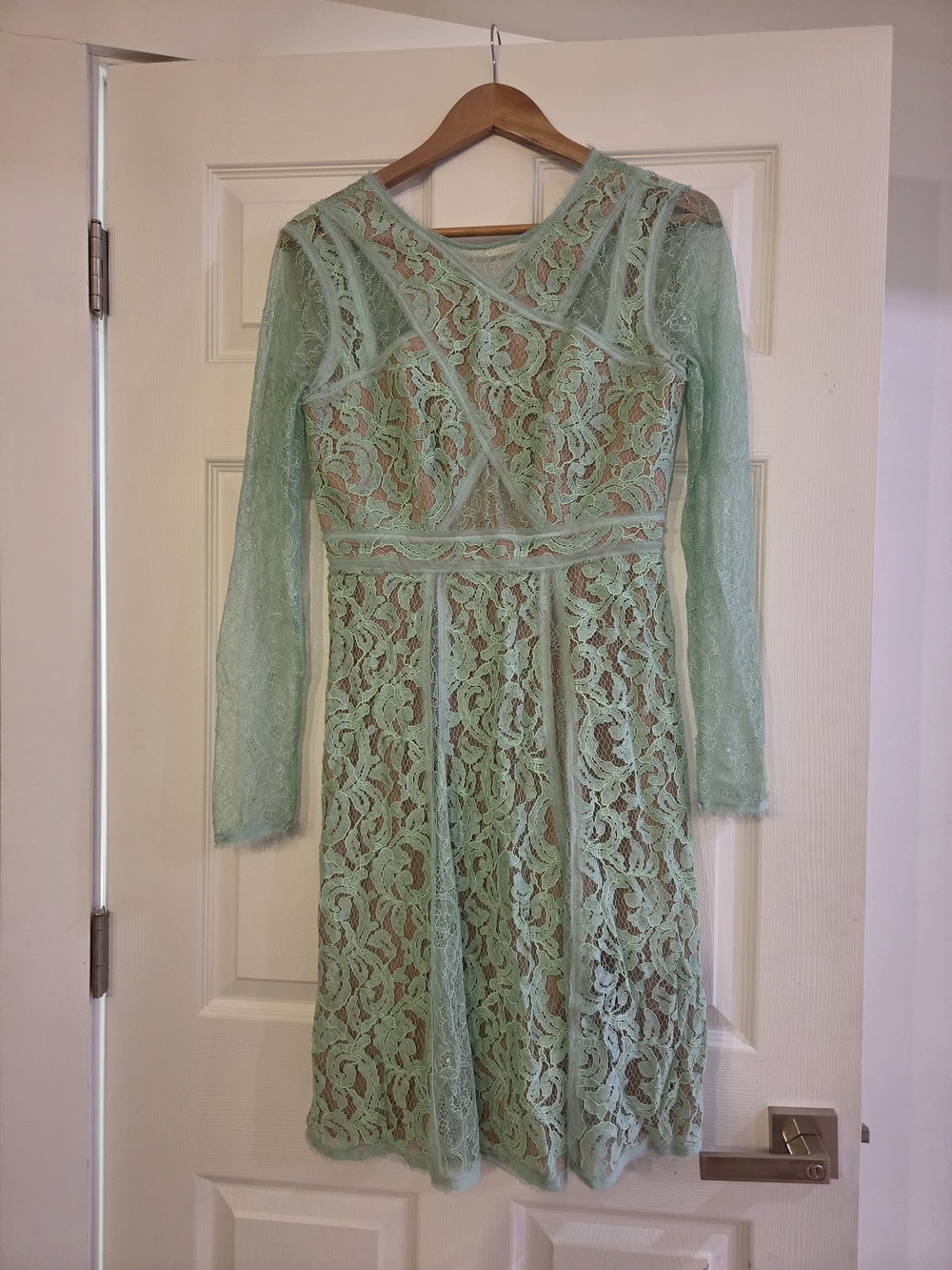 BCBGMaxAzria Mint Lace Long-Sleeve Fit & Flare Dress